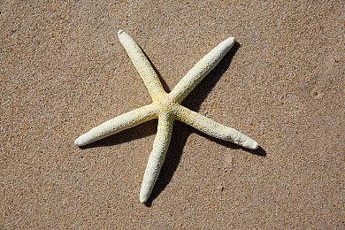 配音演员称《星空》台词超20万条 是老滚5三倍以上